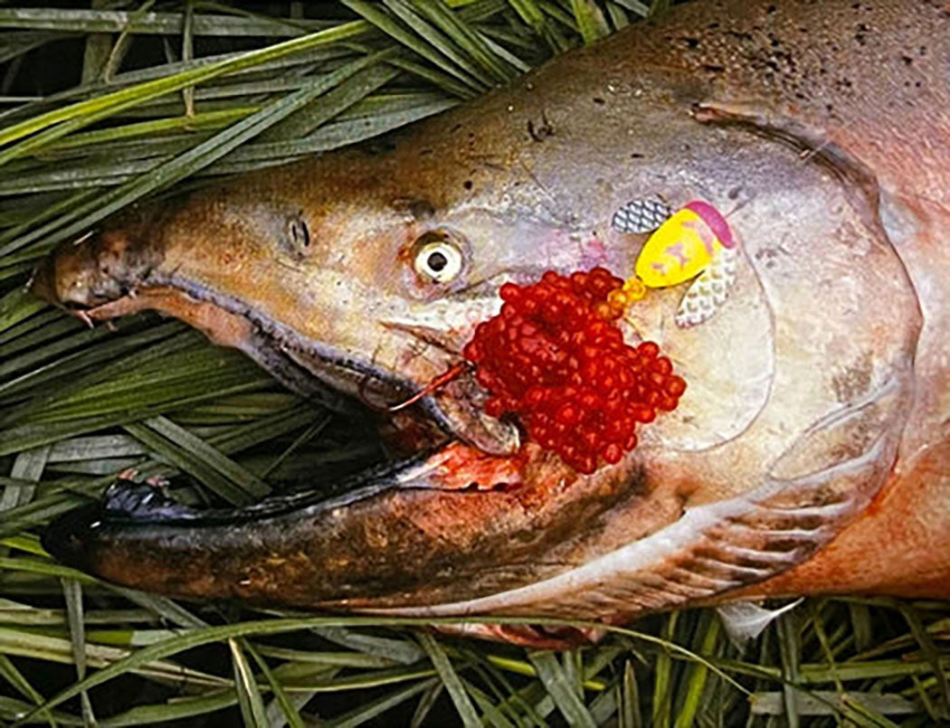 Untitled-1_33571d89-a557-4c9d-