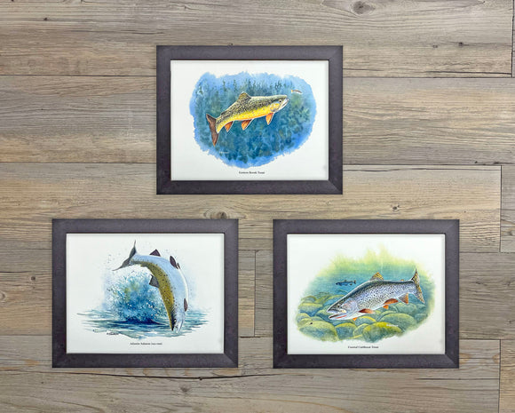 NATIVE TROUT OF NORTH AMERICA - 41 WATERCOLOR PRINTS by Vic Erickson - click on image to see all 41 prints