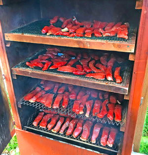 Smoking Salmon & Steelhead - Scott & Tiffany Haugen