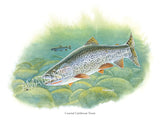 NATIVE TROUT OF NORTH AMERICA (Art Prints) - 41 SPECIES TO CHOOSE FROM - by Vic Erickson