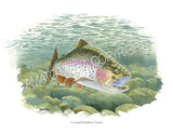 NATIVE TROUT OF NORTH AMERICA (Art Prints) - 41 SPECIES TO CHOOSE FROM - by Vic Erickson