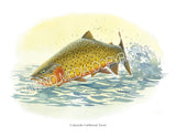 NATIVE TROUT OF NORTH AMERICA (Art Prints) - 41 SPECIES TO CHOOSE FROM - by Vic Erickson