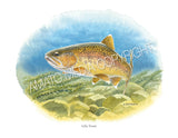 NATIVE TROUT OF NORTH AMERICA (Art Prints) - 41 SPECIES TO CHOOSE FROM - by Vic Erickson