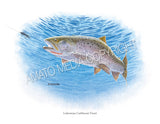 NATIVE TROUT OF NORTH AMERICA (Art Prints) - 41 SPECIES TO CHOOSE FROM - by Vic Erickson