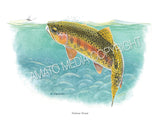 NATIVE TROUT OF NORTH AMERICA (Art Prints) - 41 SPECIES TO CHOOSE FROM - by Vic Erickson