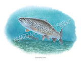 NATIVE TROUT OF NORTH AMERICA (Art Prints) - 41 SPECIES TO CHOOSE FROM - by Vic Erickson