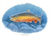 NATIVE TROUT OF NORTH AMERICA (Art Prints) - 41 SPECIES TO CHOOSE FROM - by Vic Erickson