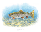 NATIVE TROUT OF NORTH AMERICA (Art Prints) - 41 SPECIES TO CHOOSE FROM - by Vic Erickson