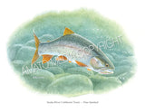 NATIVE TROUT OF NORTH AMERICA (Art Prints) - 41 SPECIES TO CHOOSE FROM - by Vic Erickson