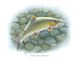 NATIVE TROUT OF NORTH AMERICA (Art Prints) - 41 SPECIES TO CHOOSE FROM - by Vic Erickson