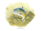 NATIVE TROUT OF NORTH AMERICA (Art Prints) - 41 SPECIES TO CHOOSE FROM - by Vic Erickson