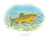 NATIVE TROUT OF NORTH AMERICA (Art Prints) - 41 SPECIES TO CHOOSE FROM - by Vic Erickson