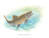 NATIVE TROUT OF NORTH AMERICA (Art Prints) - 41 SPECIES TO CHOOSE FROM - by Vic Erickson