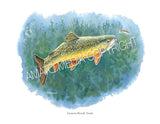 NATIVE TROUT OF NORTH AMERICA (Art Prints) - 41 SPECIES TO CHOOSE FROM - by Vic Erickson