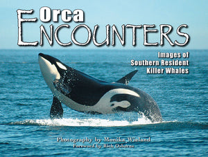 Gently used- ORCA ENCOUNTERS photography by Monika Wieland